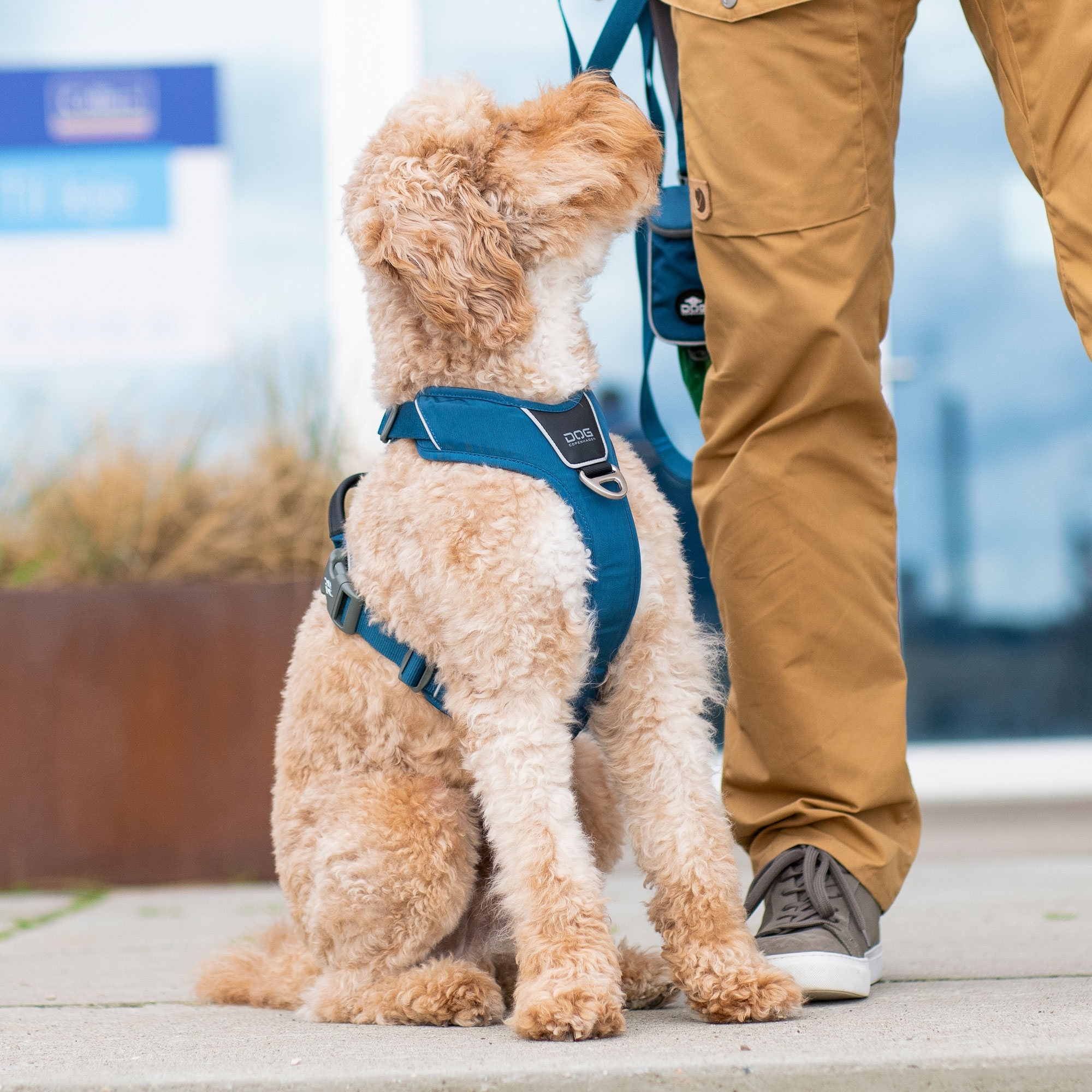 Comfort Walk Pro™ Harness