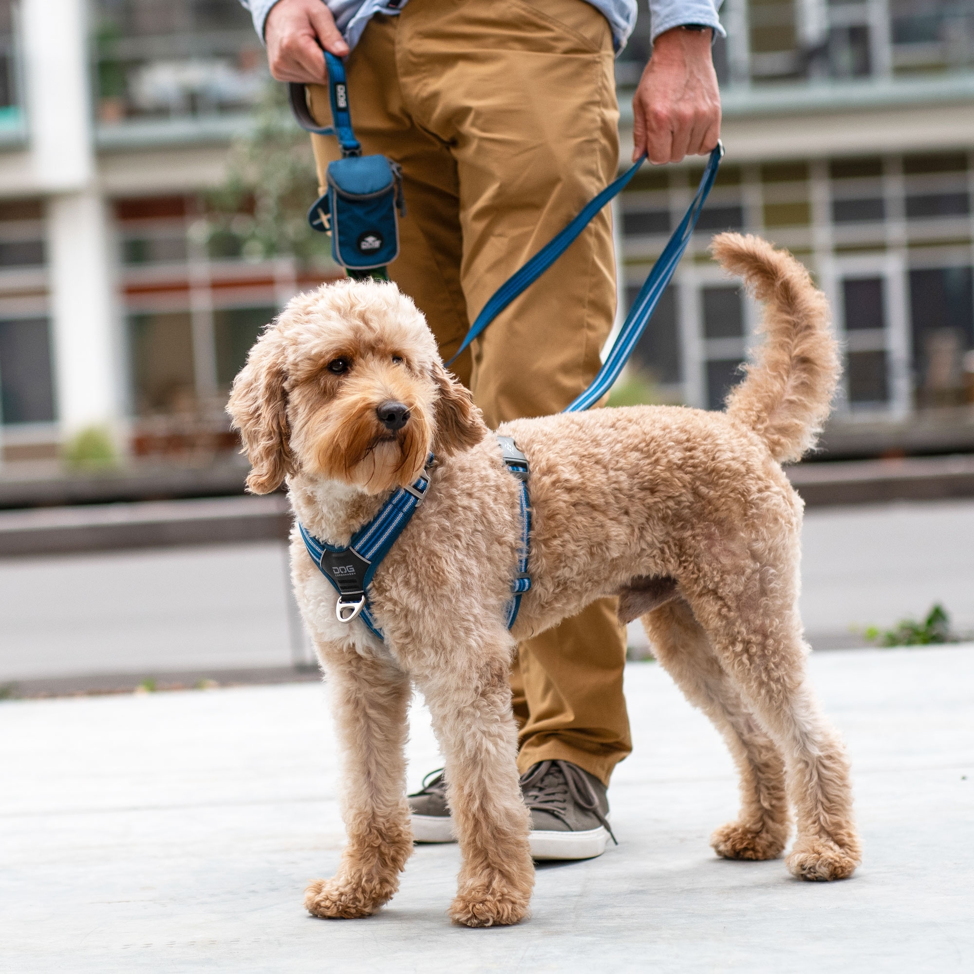 Comfort Walk Air™ Harness