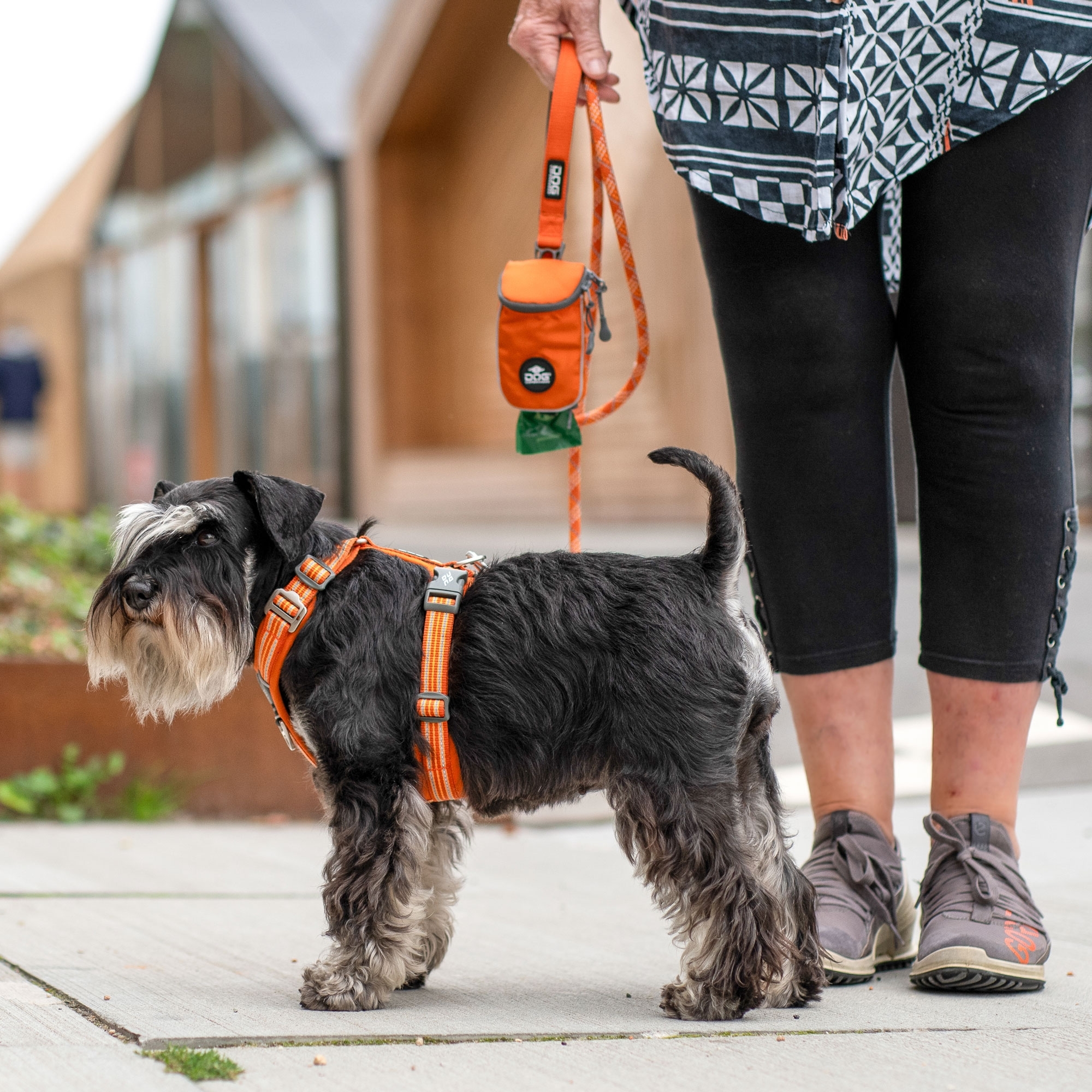 Comfort Walk Air™ Harness