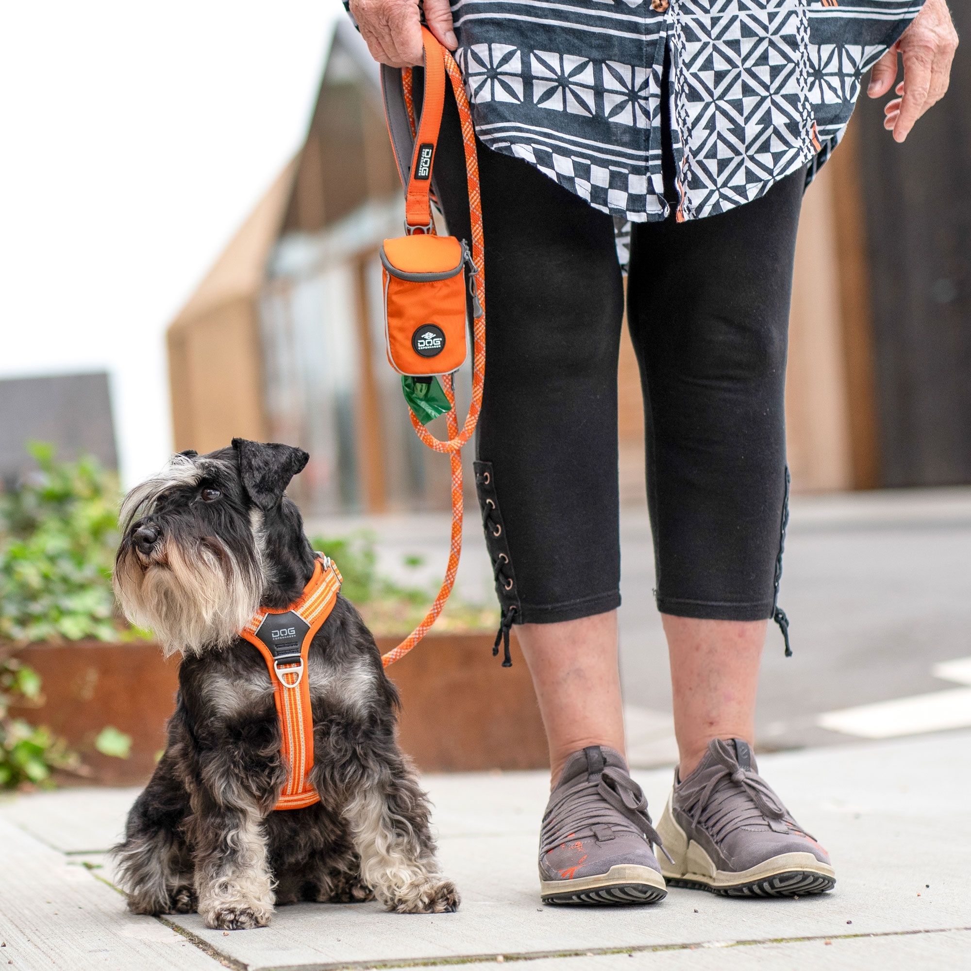 Comfort Walk Air™ Harness