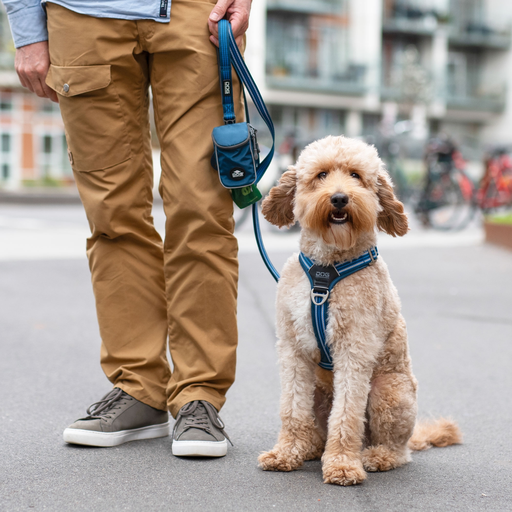 Comfort Walk Air™ Harness