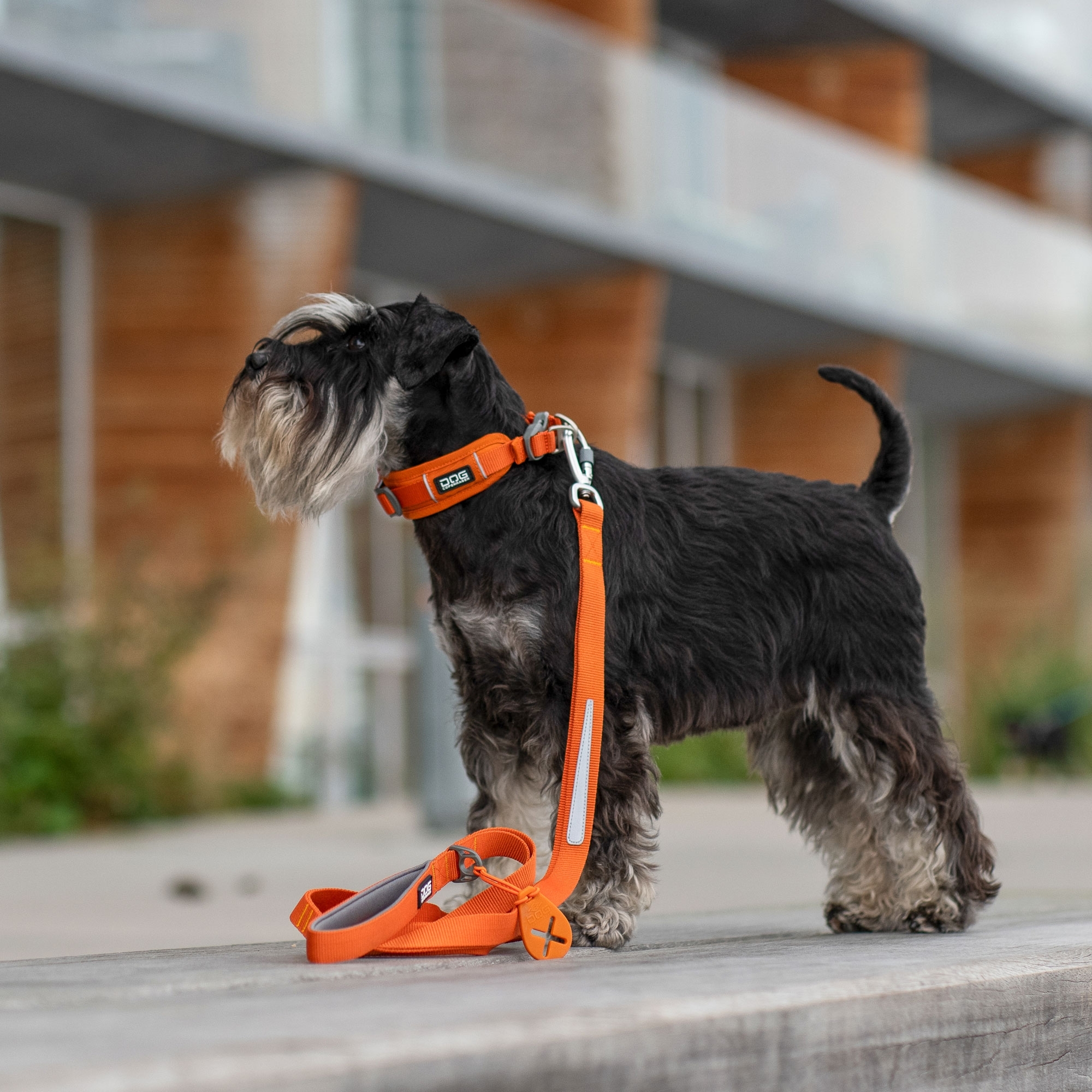Urban Trail™ Leash