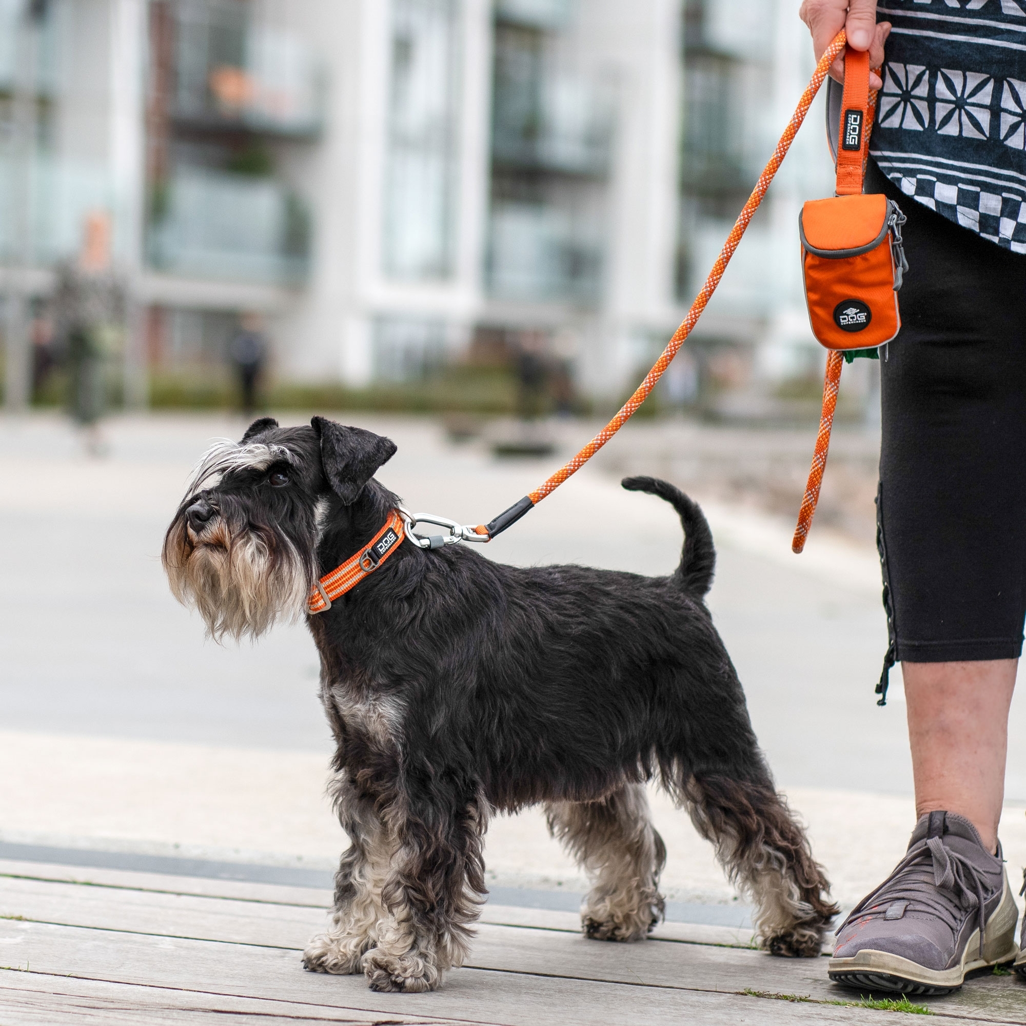 Urban Rope™ Leash