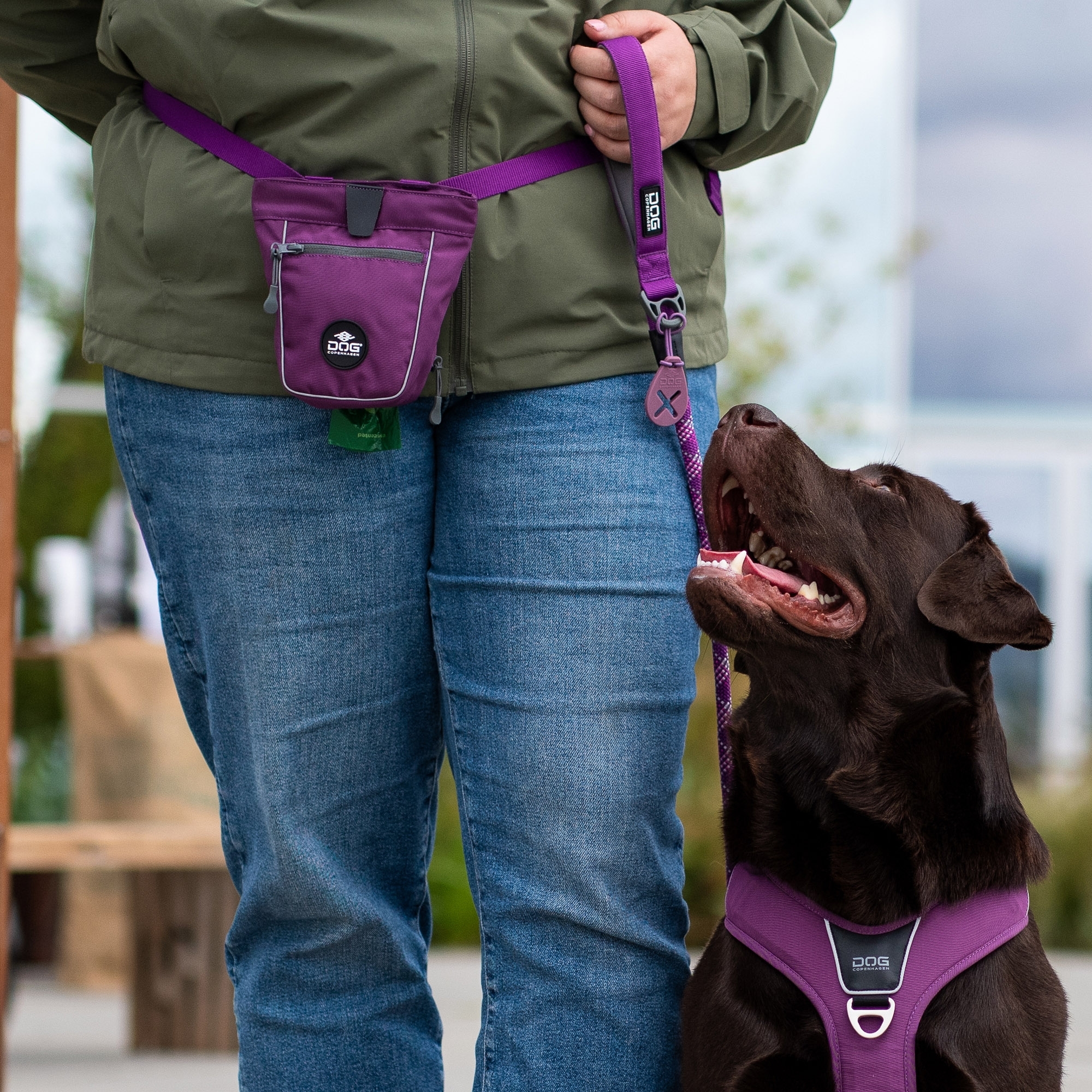 Urban Rope™ Leash