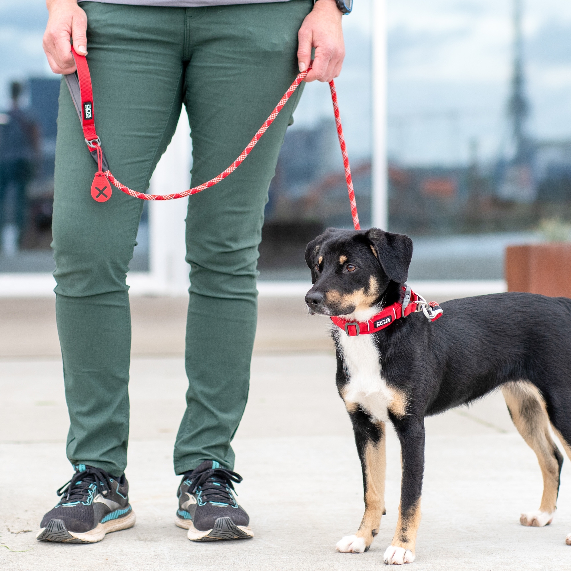 Urban Rope™ Leash
