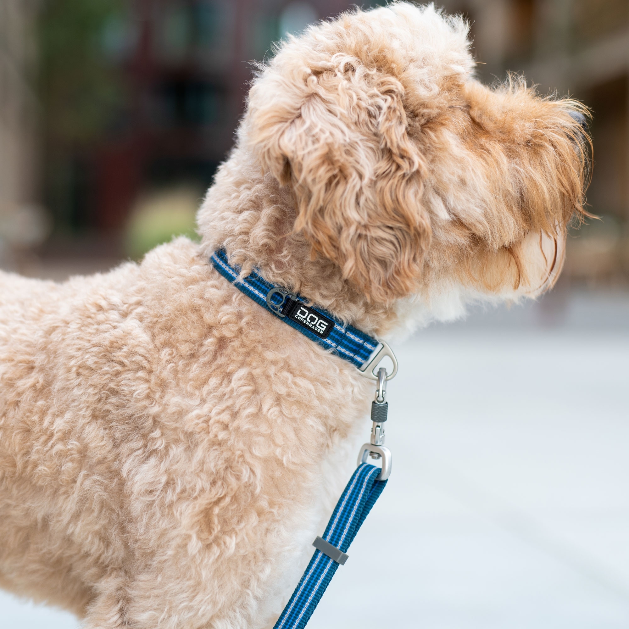 Urban Style™ Collar