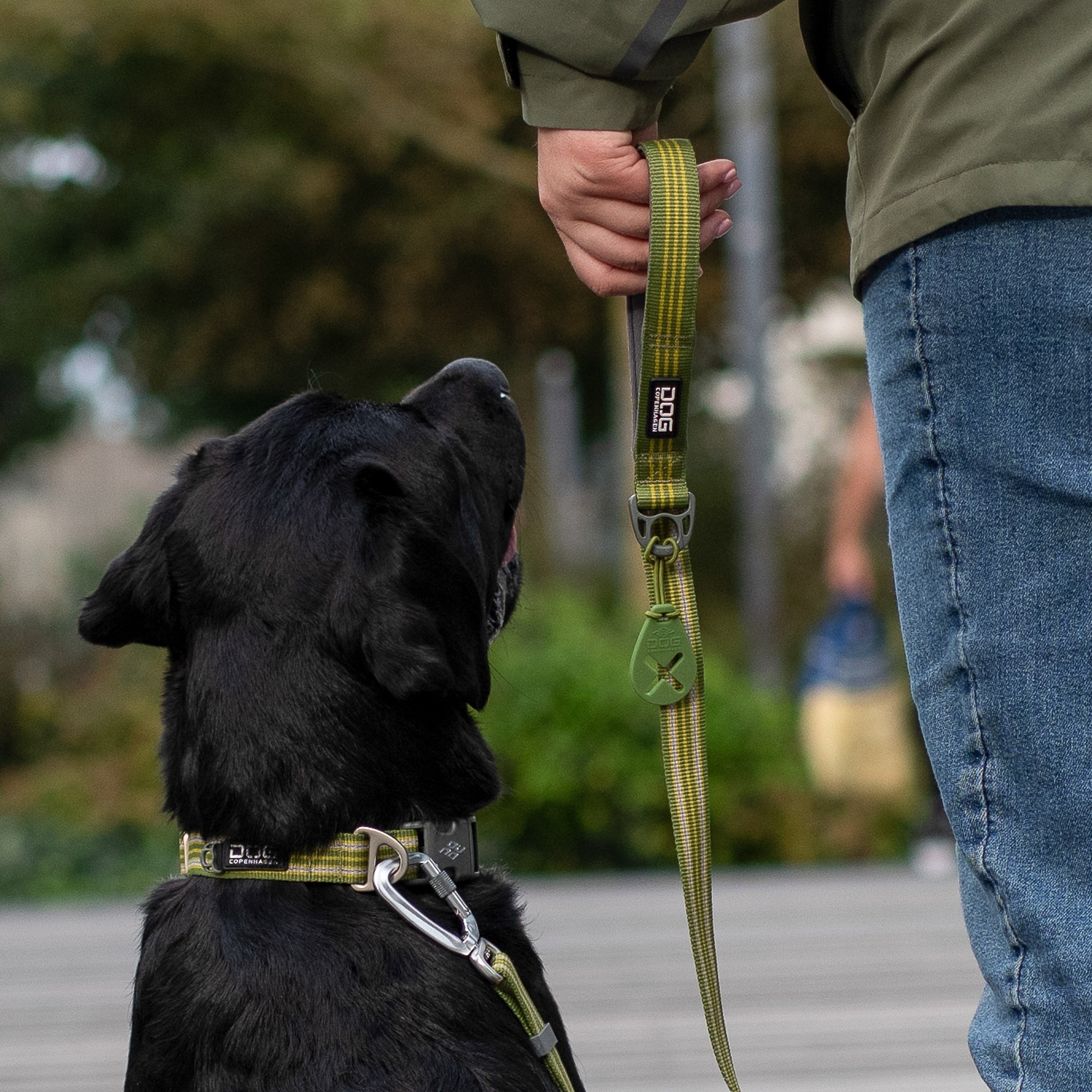 Urban Style™ Collar
