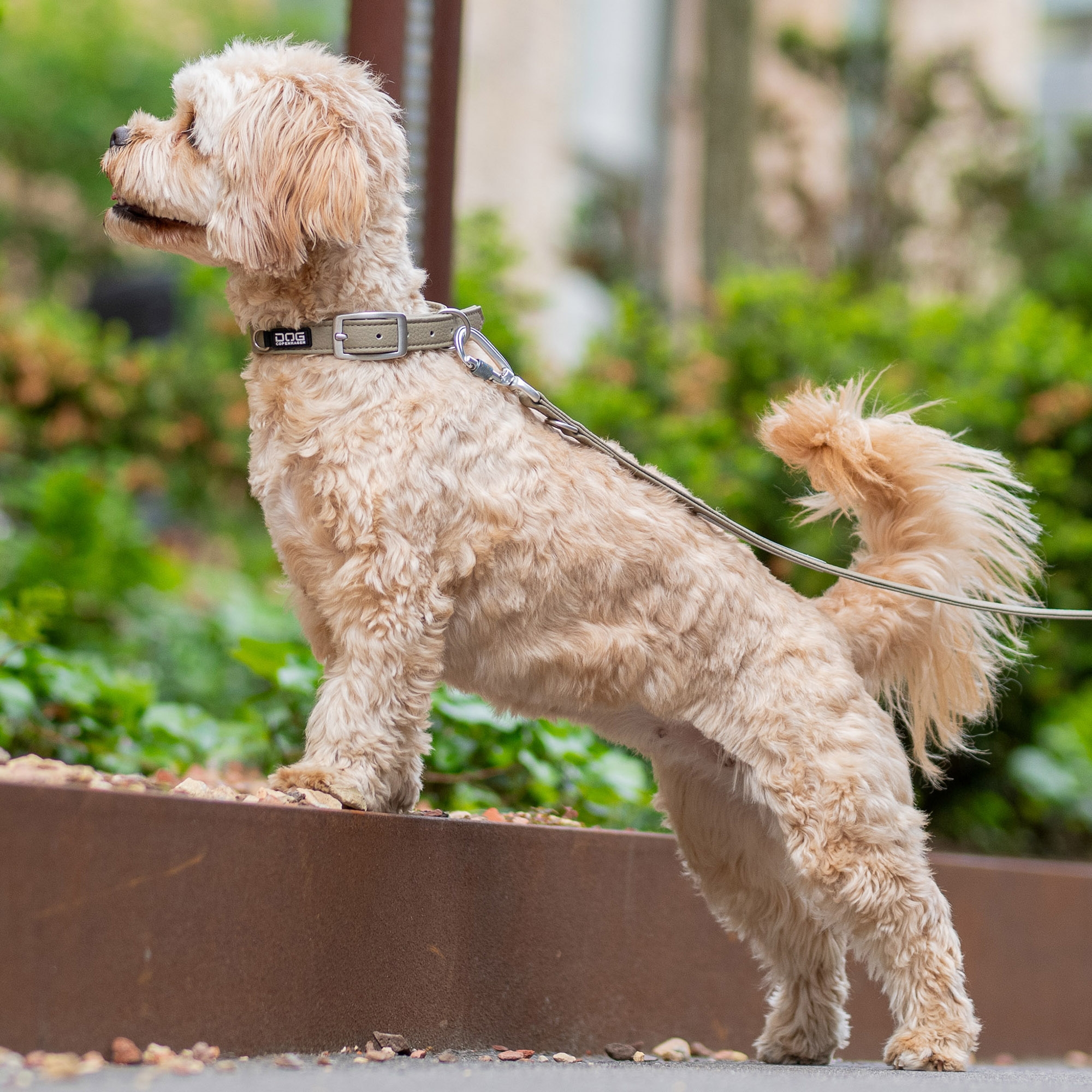 Urban Classic™ Collar