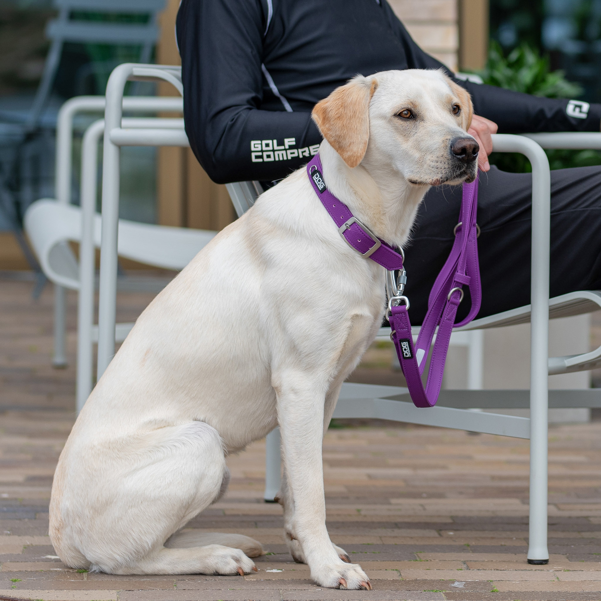 Urban Classic™ Collar