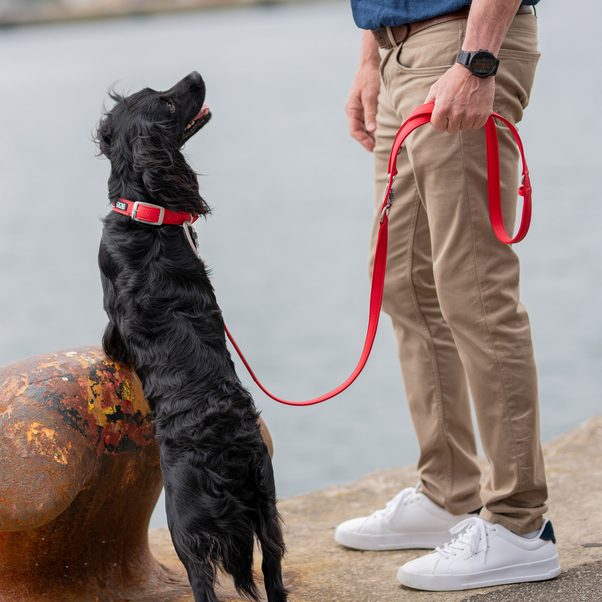 Urban Classic™ Collar