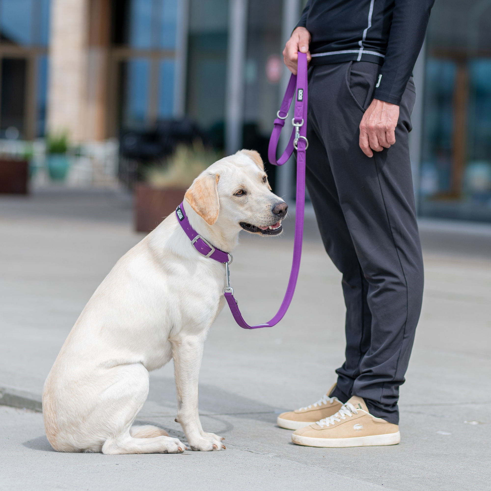 Urban Classic™ Collar
