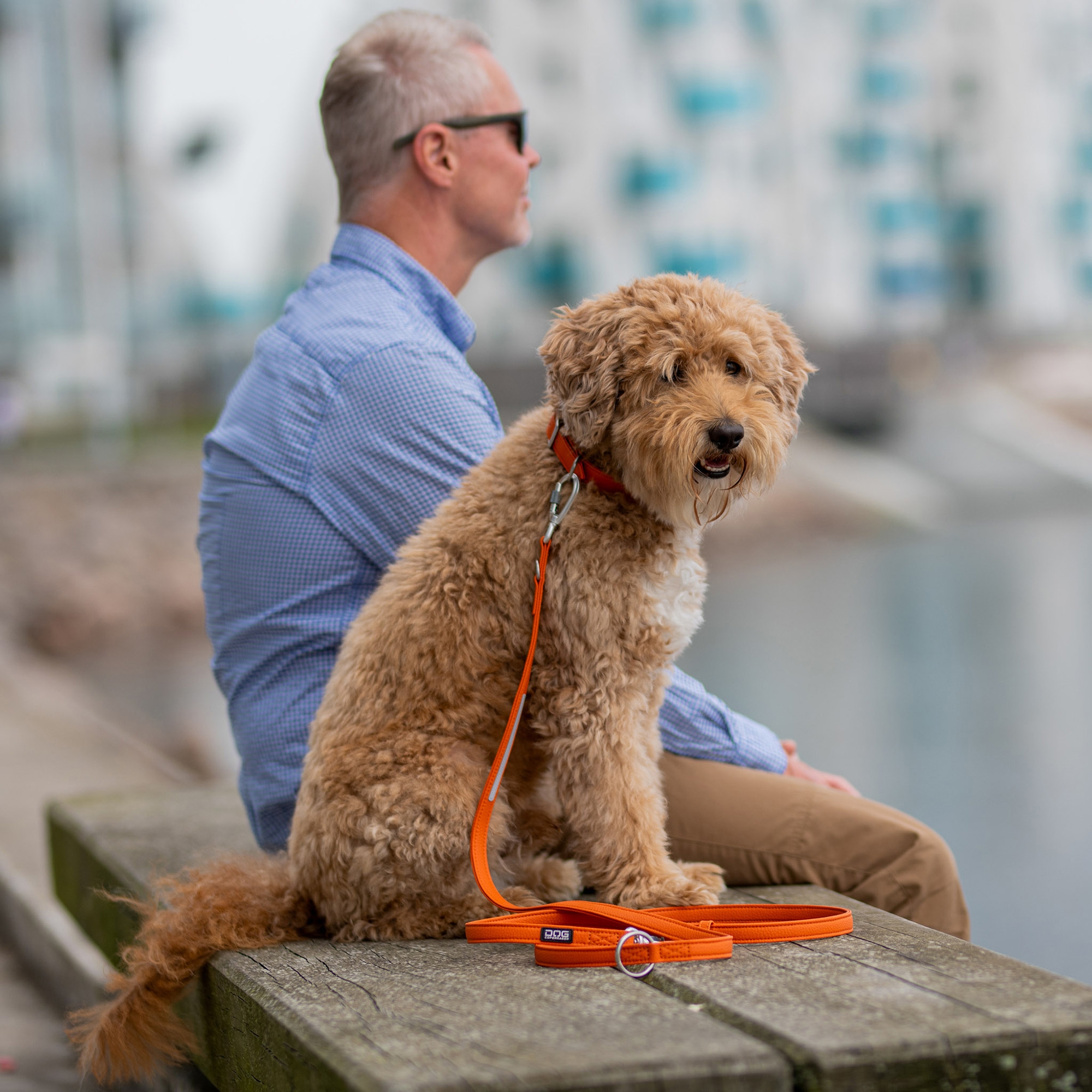 Urban Classic™ Leash