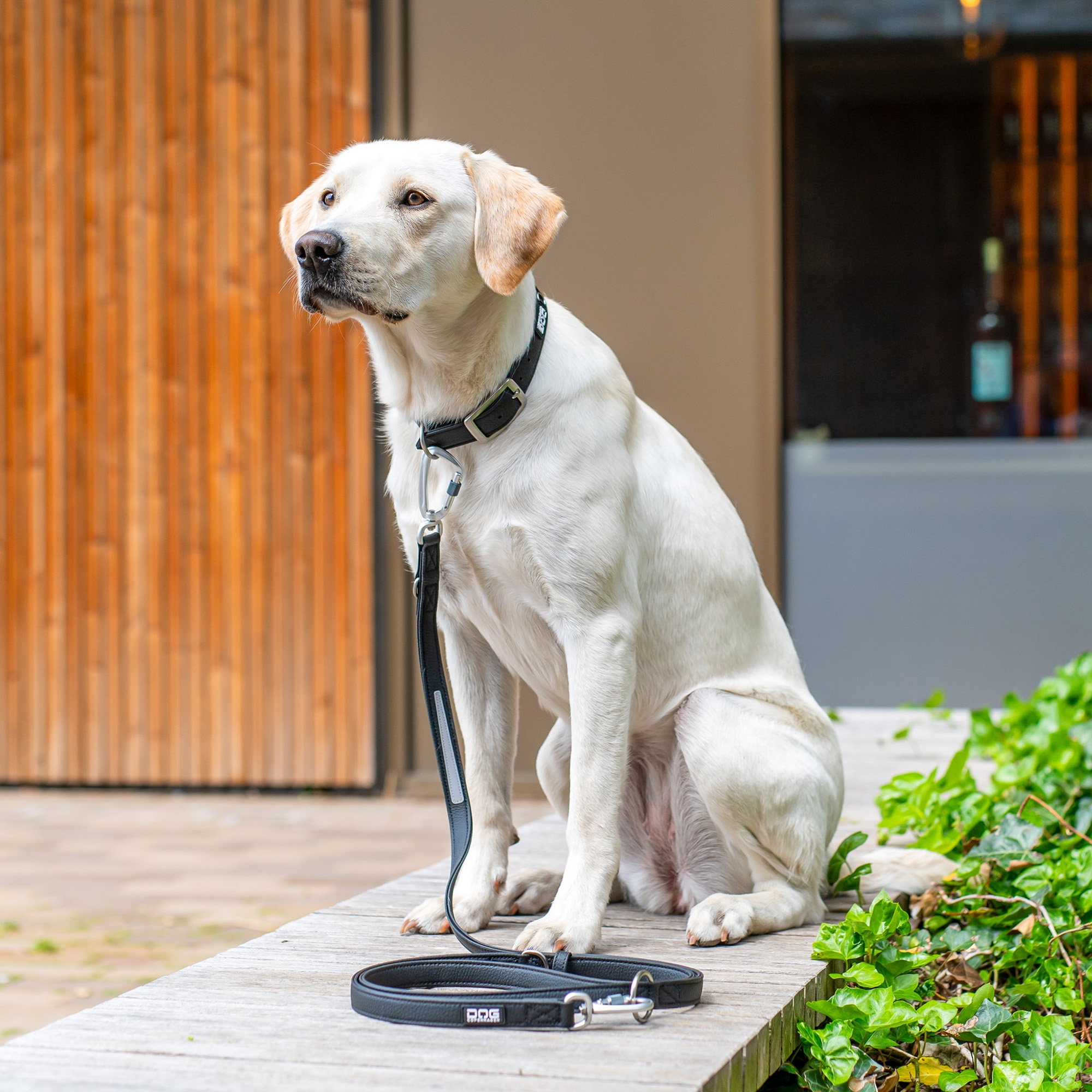 Urban Classic™ Leash